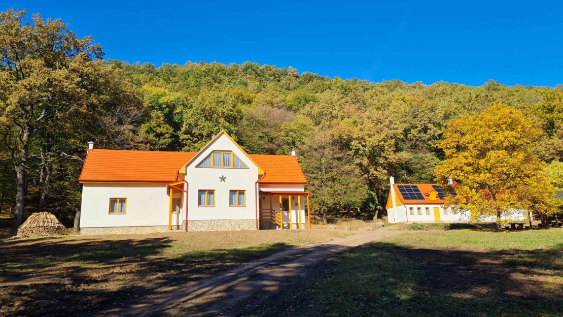 462536162_1403423647283586_8410587593536372737_n