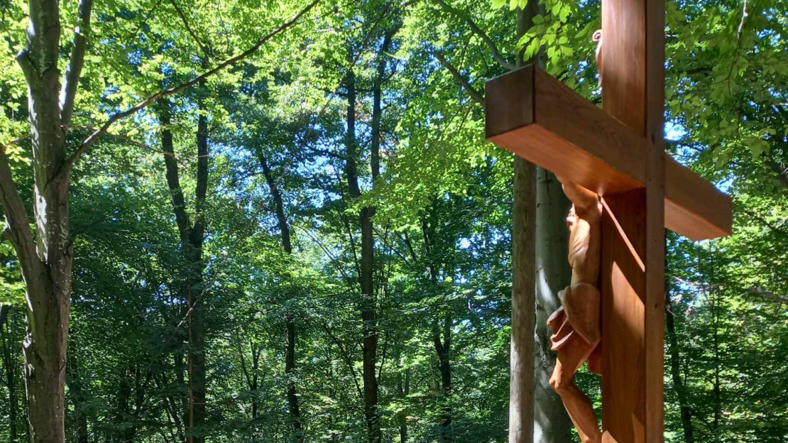 88235cb7-90a4-4fdb-b206-94253546e1ac