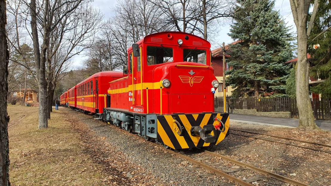 Álláshirdetés - Vonatkísérő