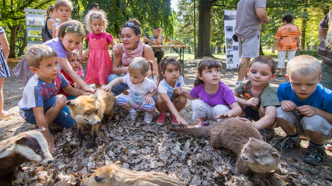 Egri Erdészeti Nyílt Nap