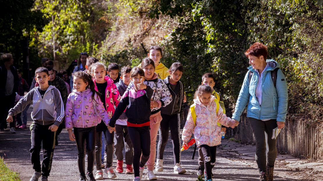 Erdei Iránytű 2024