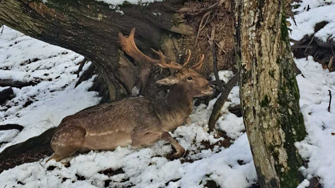 IMG-ec51e02b4af1d204c1e7243f32cd9124-V