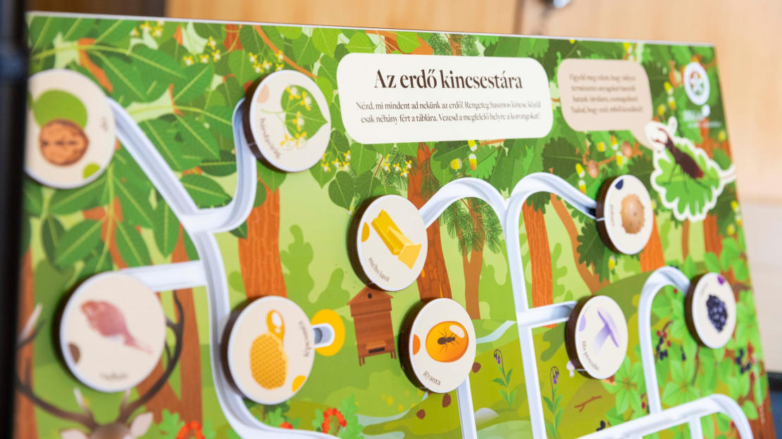 Iskolában az erdő Forrás Agrárminisztérium