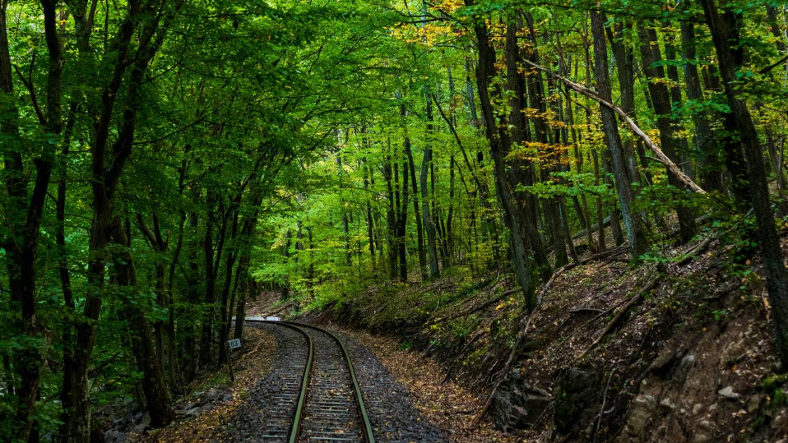 Kisvasúti üzemszünet