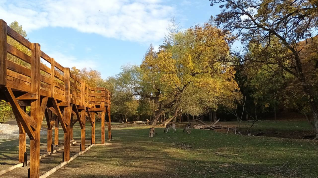 Megújult a felsőtárkányi vadbemutatókert fa emelvénye