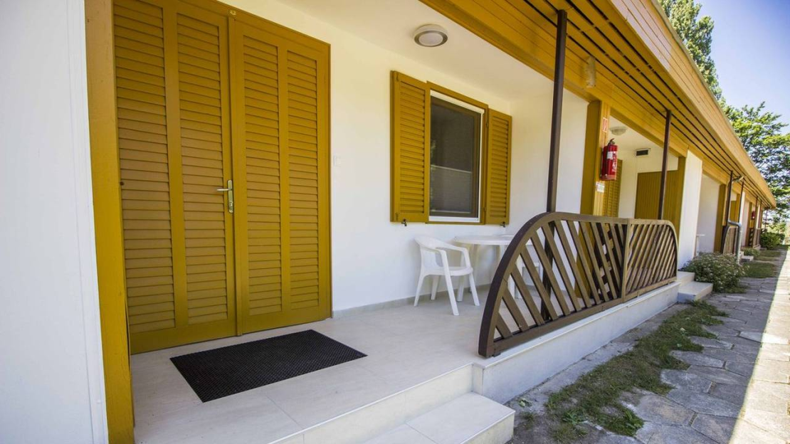 Pályázat - IGAZGATÓ