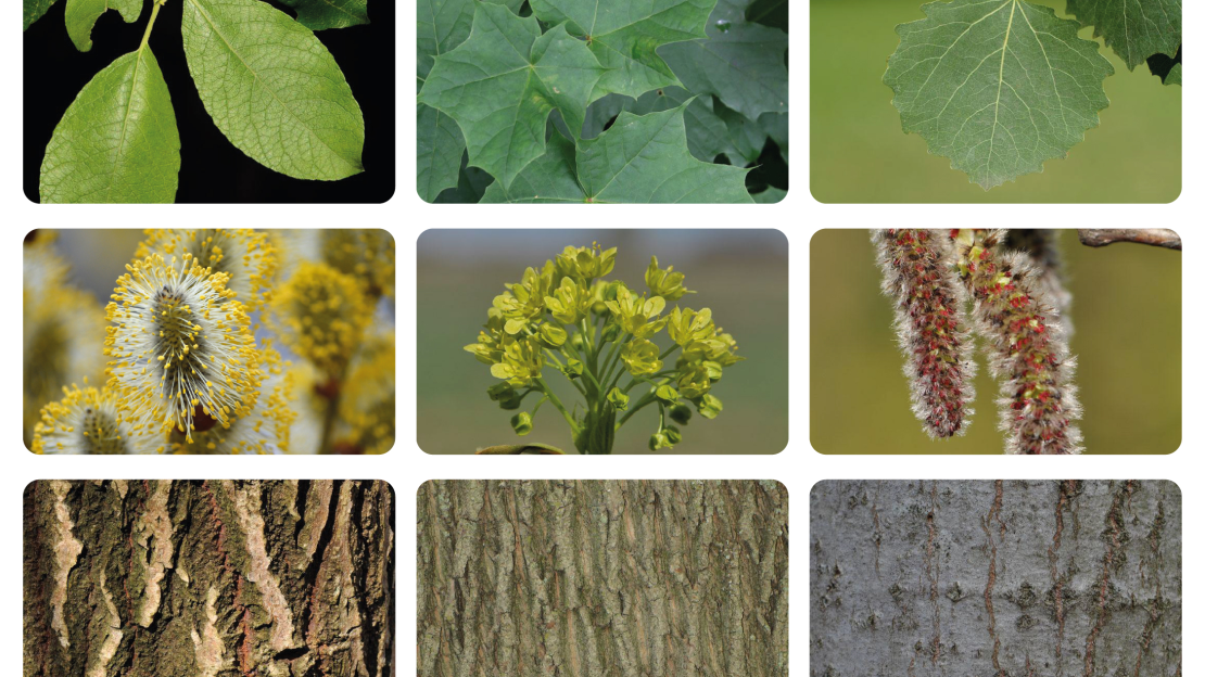 post_évfája_jelöltek2