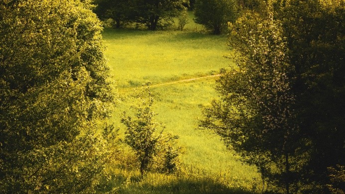 Sajtóközlemény_kép