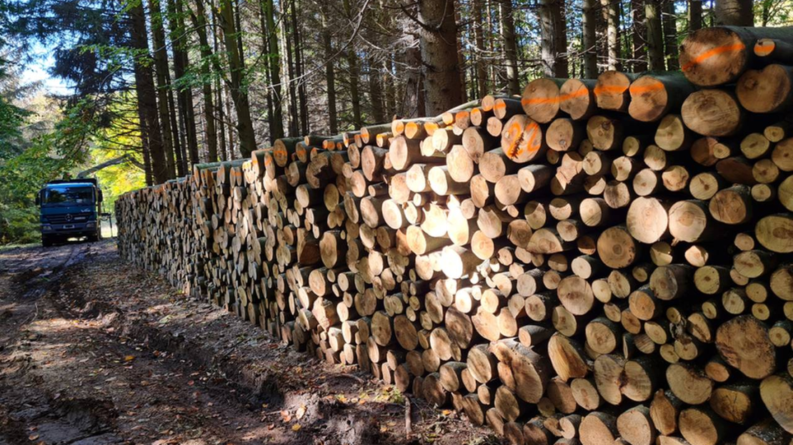 Tervezett ütemben halad a lakossági tűzifa kiszállítás