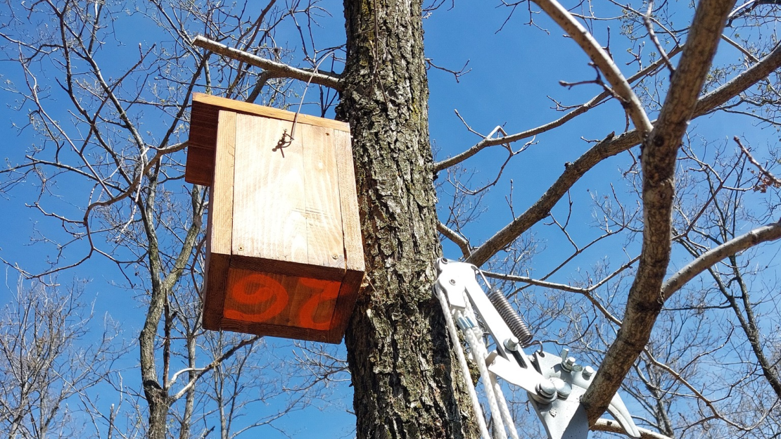 Új odó a Mátrafüredi Erdészet területén